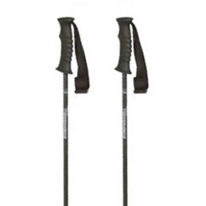 Prezzi Komperdell rental carbon youth poles argento 80 cm