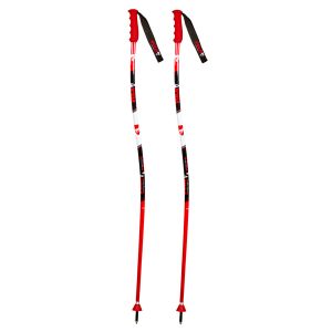 Prezzi Vola alpine gs team ski pole