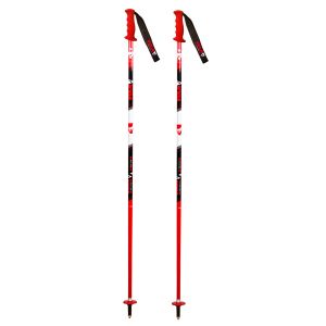 Prezzi Vola alpine sl team ski pole sr/jr