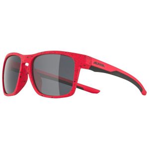 Prezzi Alpina kid\'s flexxy cool i s3 occhiali da sole variopinto
