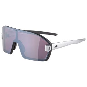Prezzi Alpina bonfire mag q s1 + s3 occhiali da sole grigio