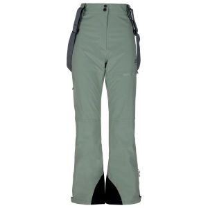 Prezzi 2117 of sweden women\'s nausta pant pantaloni da sci donna (m, verde)